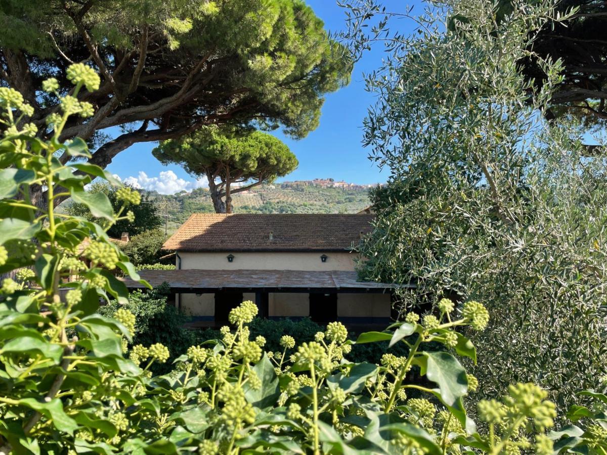 Agriturismo Il Vignone Castagneto Carducci Esterno foto